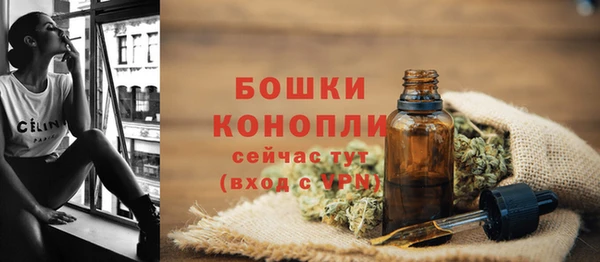 гашик Абаза