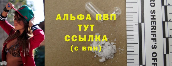 гашик Абаза