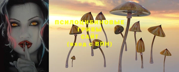 гашик Абаза