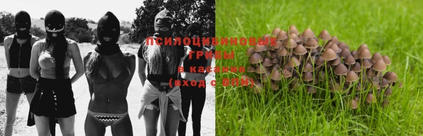гашик Абаза