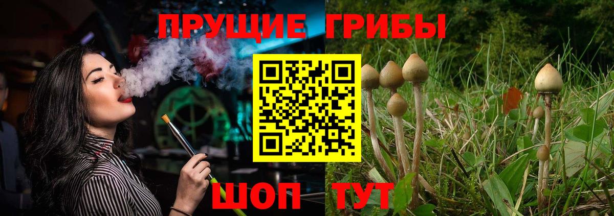 Псилоцибиновые грибы MAGIC MUSHROOMS  Вход с VPN  Псилоцибиновые грибы прущие грибы  Звенигород 